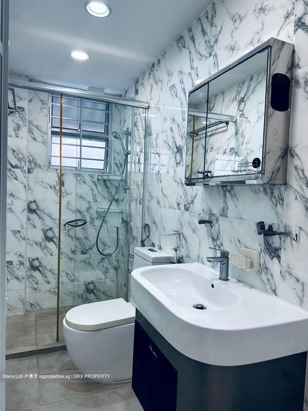 Haig Road (D15), Apartment #501293121